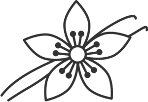 vanilla flower icon